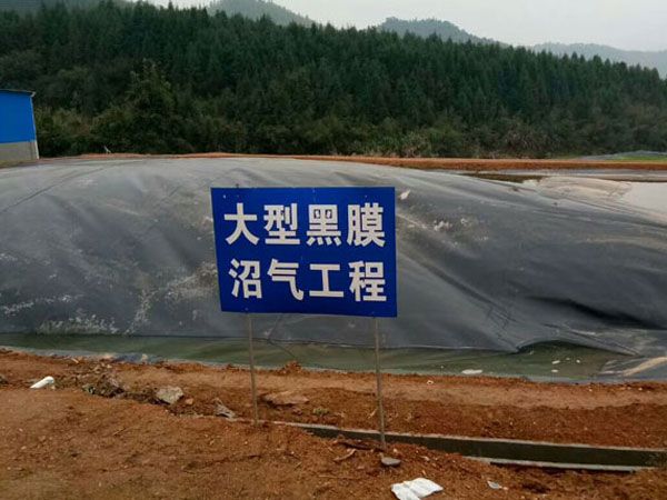 戳我试试
